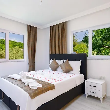 Cetinkaya * カシュ